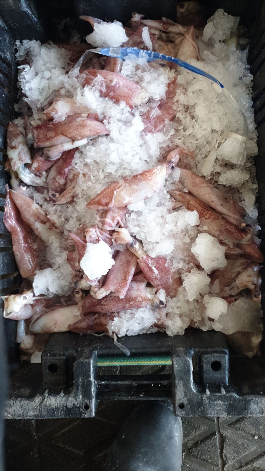 WhatsApp Image 2020-01-30 at 10.33.00 AM.jpeg.jpeg